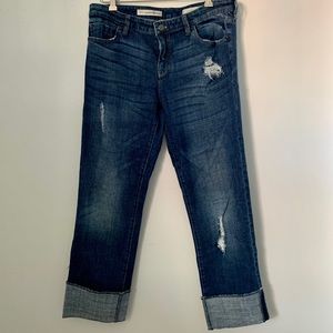 Anthropologie Pilcro Hyphin Denim